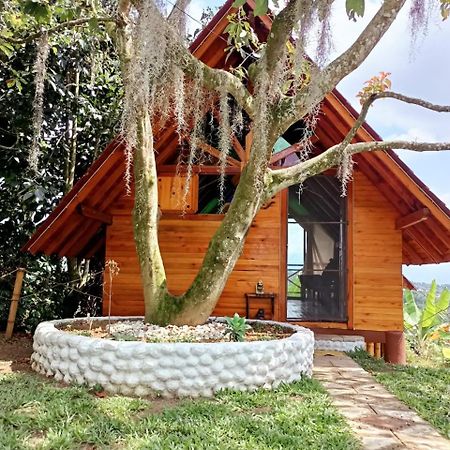 Cabanas La Miranda Filandia Extérieur photo