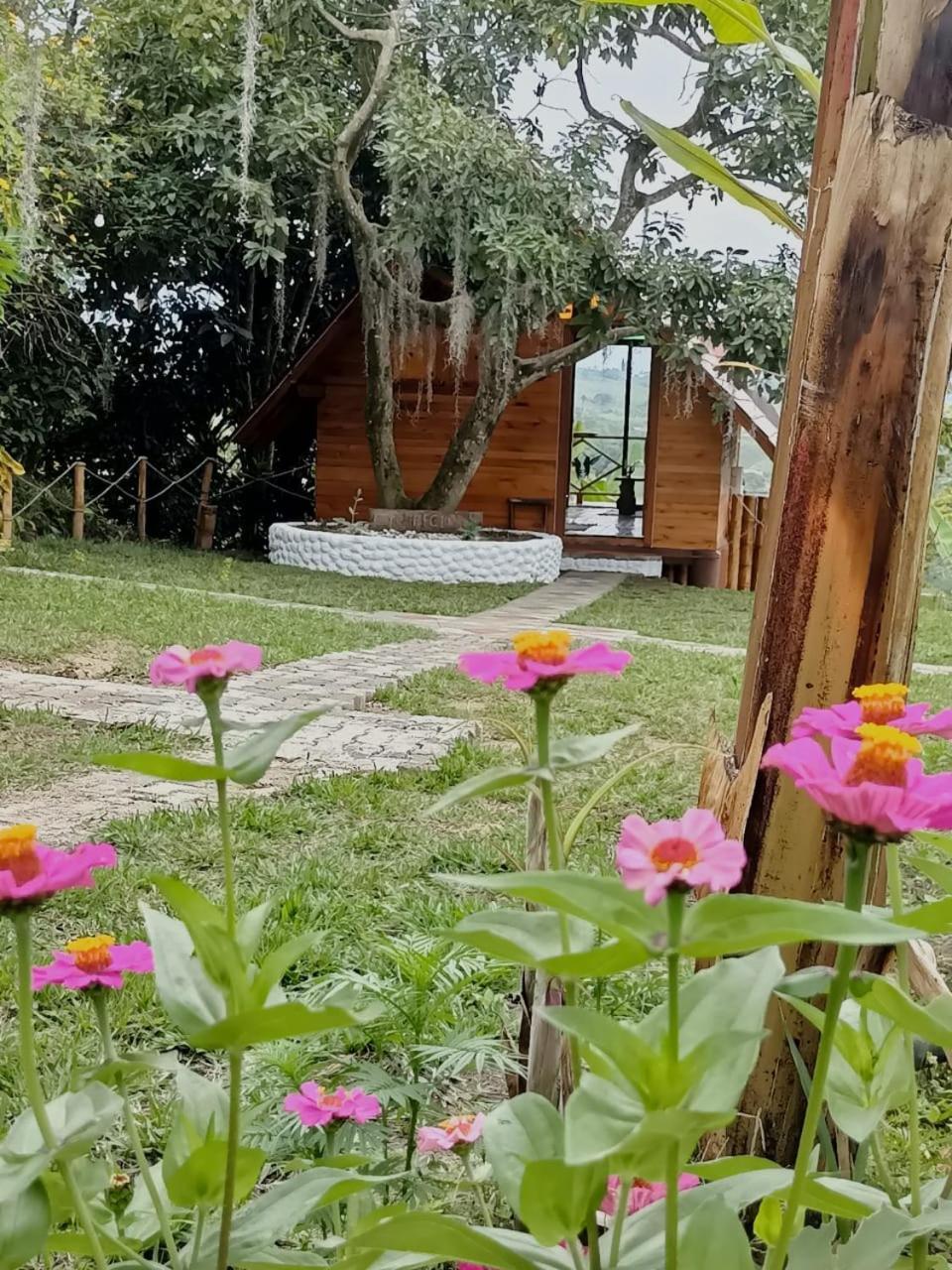 Cabanas La Miranda Filandia Extérieur photo