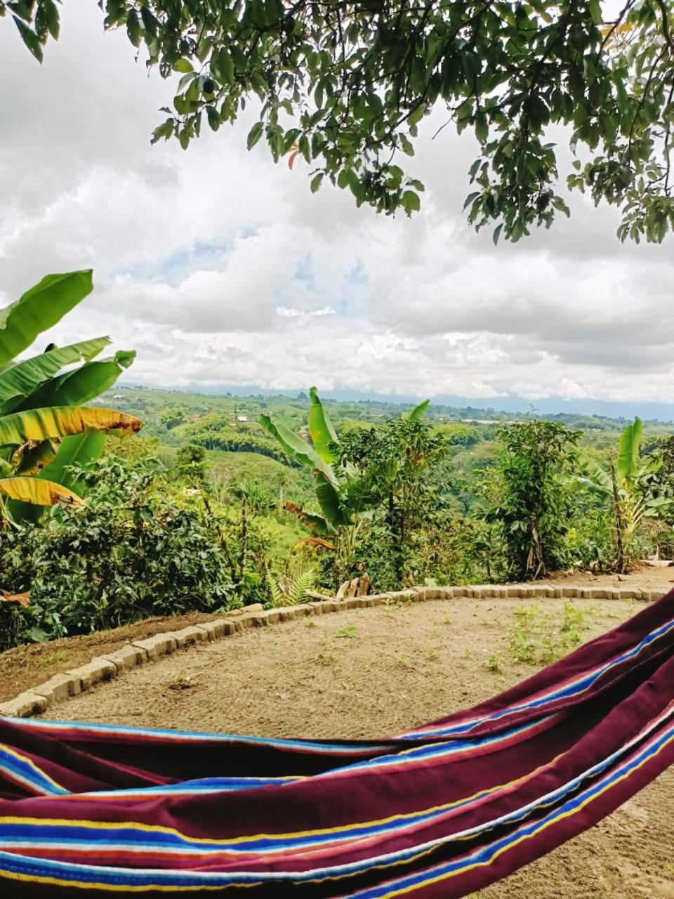 Cabanas La Miranda Filandia Extérieur photo